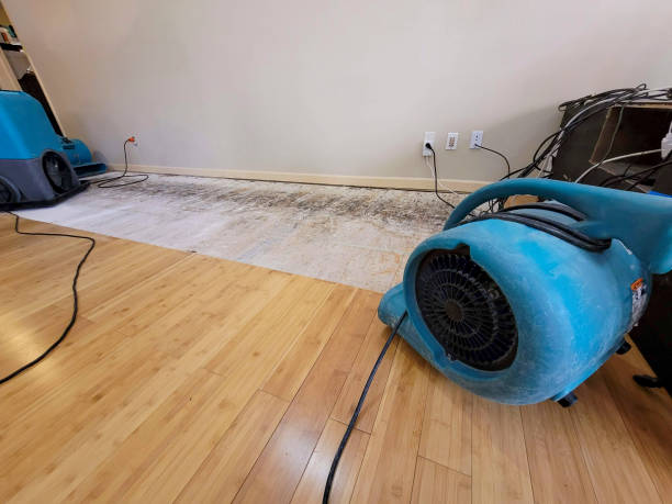 Professional Flood Damage Cleanup technician working in Renault, IL